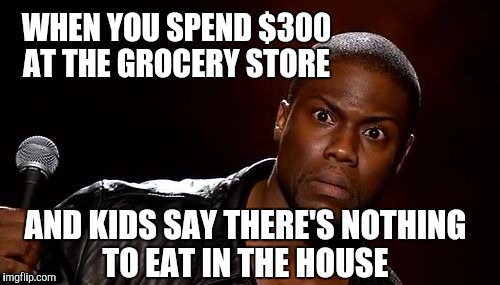 Nothing to eat??? | WHEN YOU SPEND $300 AT THE GROCERY STORE; AND KIDS SAY THERE'S NOTHING TO EAT IN THE HOUSE | image tagged in kids | made w/ Imgflip meme maker