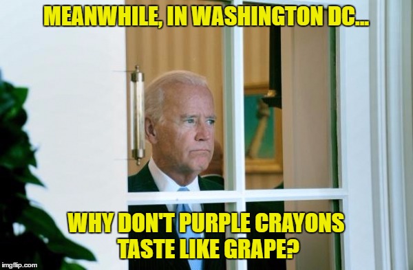 MEANWHILE, IN WASHINGTON DC... WHY DON'T PURPLE CRAYONS TASTE LIKE GRAPE? | made w/ Imgflip meme maker
