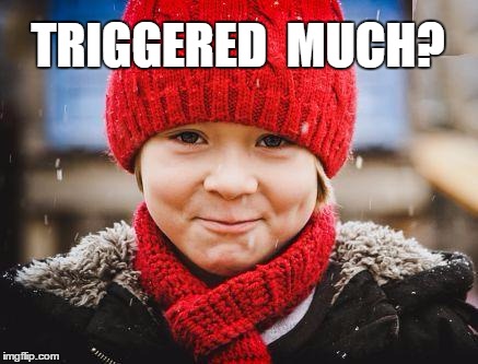 smirk | TRIGGERED  MUCH? | image tagged in smirk | made w/ Imgflip meme maker