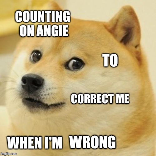 Doge | COUNTING ON ANGIE; TO; CORRECT ME; WRONG; WHEN I'M | image tagged in memes,doge | made w/ Imgflip meme maker