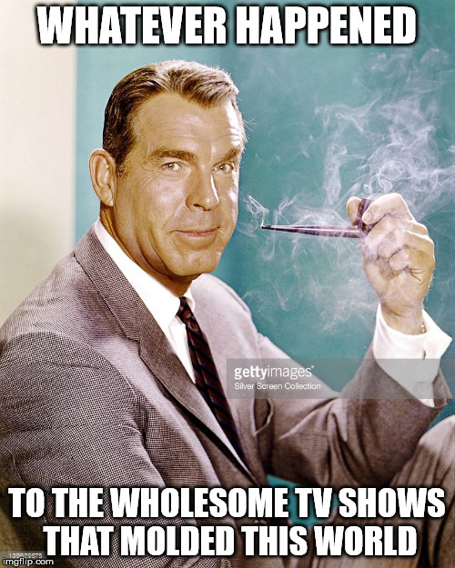 60 tv shows | WHATEVER HAPPENED; TO THE WHOLESOME TV SHOWS THAT MOLDED THIS WORLD | image tagged in celebrity | made w/ Imgflip meme maker