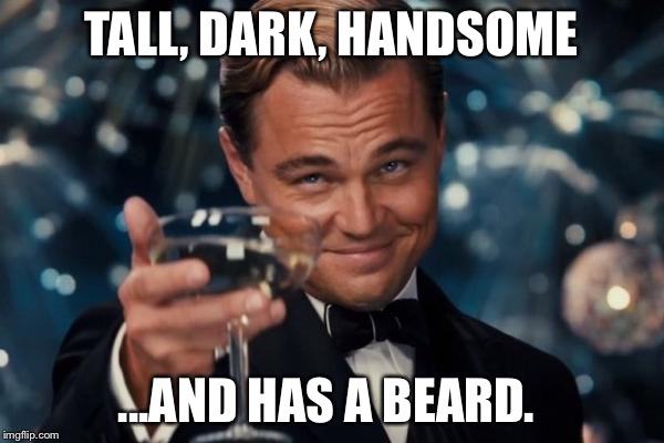 Leonardo Dicaprio Cheers Meme | TALL, DARK, HANDSOME; ...AND HAS A BEARD. | image tagged in memes,leonardo dicaprio cheers | made w/ Imgflip meme maker