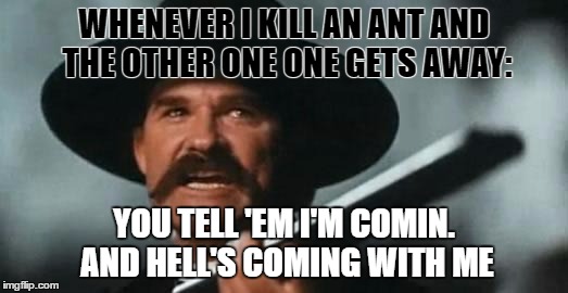 Summer Sheriff  | WHENEVER I KILL AN ANT AND THE OTHER ONE ONE GETS AWAY:; YOU TELL 'EM I'M COMIN. AND HELL'S COMING WITH ME | image tagged in tombstone,ants,bugs,bad luck brian | made w/ Imgflip meme maker