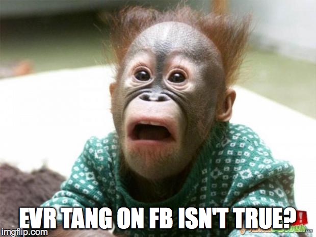 IS IT REALLY MONDAY? | EVR TANG ON FB ISN'T TRUE? | image tagged in is it really monday | made w/ Imgflip meme maker