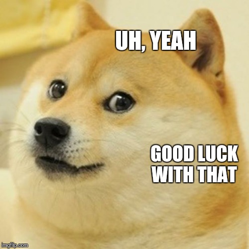 Doge Meme | UH, YEAH GOOD LUCK WITH THAT | image tagged in memes,doge | made w/ Imgflip meme maker