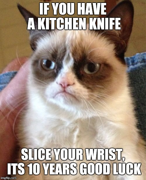 Grumpy Cat Meme | IF YOU HAVE A KITCHEN KNIFE; SLICE YOUR WRIST, ITS 10 YEARS GOOD LUCK | image tagged in memes,grumpy cat | made w/ Imgflip meme maker