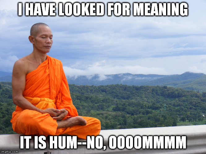 Meaning of life Monk | I HAVE LOOKED FOR MEANING; IT IS HUM--NO, OOOOMMMM | image tagged in meaning of life monk | made w/ Imgflip meme maker
