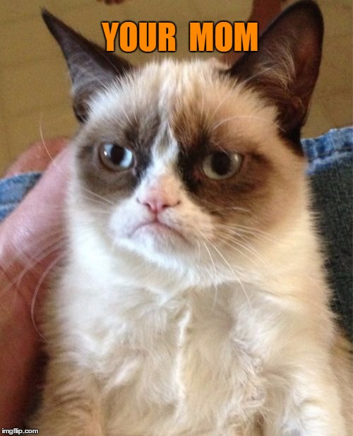 Grumpy Cat Meme | YOUR  MOM | image tagged in memes,grumpy cat | made w/ Imgflip meme maker