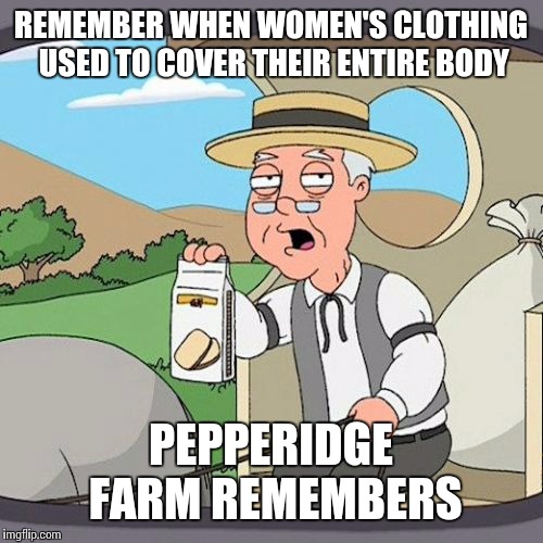 Pepperidge Farm Remembers Meme | REMEMBER WHEN WOMEN'S CLOTHING USED TO COVER THEIR ENTIRE BODY; PEPPERIDGE FARM REMEMBERS | image tagged in memes,pepperidge farm remembers | made w/ Imgflip meme maker
