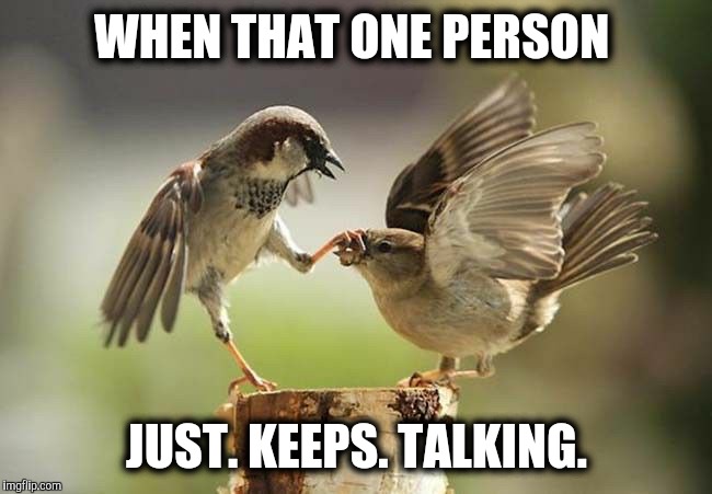 STFU | WHEN THAT ONE PERSON; JUST. KEEPS. TALKING. | image tagged in stfu | made w/ Imgflip meme maker