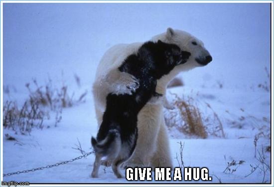 GIVE ME A HUG. | image tagged in give me a hug | made w/ Imgflip meme maker