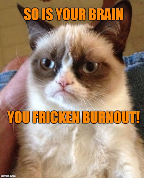 Grumpy Cat Meme | SO IS YOUR BRAIN YOU FRICKEN BURNOUT! | image tagged in memes,grumpy cat | made w/ Imgflip meme maker