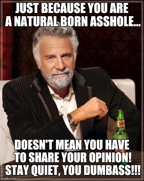 Reading some of the comments on other memes, made me think of this idea... | JUST BECAUSE YOU ARE A NATURAL BORN ASSHOLE... DOESN'T MEAN YOU HAVE TO SHARE YOUR OPINION! STAY QUIET, YOU DUMBASS!!! | image tagged in memes,the most interesting man in the world,stfu,deny the urge | made w/ Imgflip meme maker