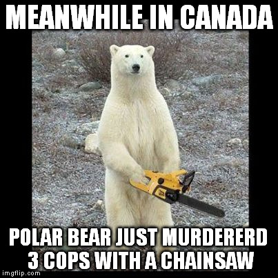 Chainsaw Bear Meme | MEANWHILE IN CANADA; POLAR BEAR JUST MURDERERD 3 COPS WITH A CHAINSAW | image tagged in memes,chainsaw bear | made w/ Imgflip meme maker
