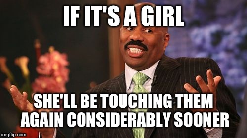 Steve Harvey Meme | IF IT'S A GIRL SHE'LL BE TOUCHING THEM AGAIN CONSIDERABLY SOONER | image tagged in memes,steve harvey | made w/ Imgflip meme maker