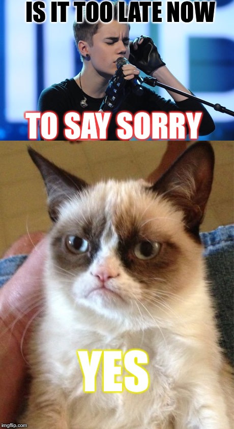 Grumpy cat is anti-bieber | IS IT TOO LATE NOW; TO SAY SORRY; YES | image tagged in grumpy cat,justin bieber,memes | made w/ Imgflip meme maker