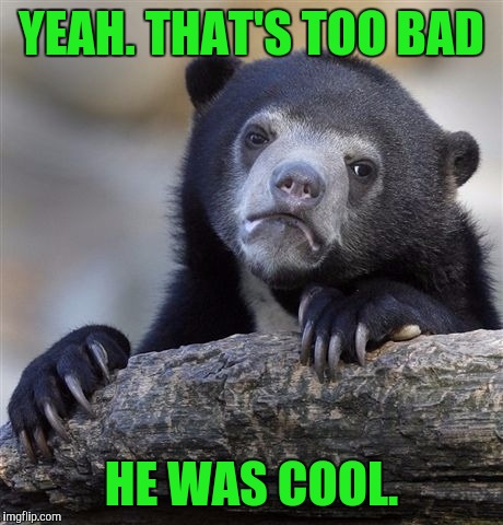 Confession Bear Meme | YEAH. THAT'S TOO BAD HE WAS COOL. | image tagged in memes,confession bear | made w/ Imgflip meme maker