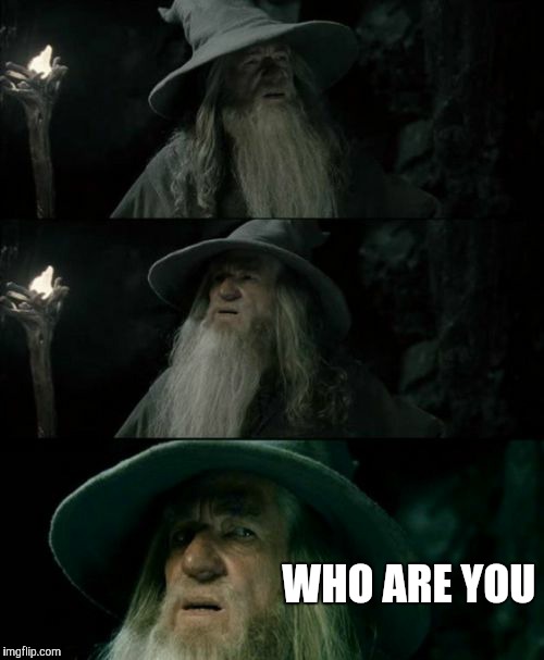 Some one I don't know followed me on instagram. | WHO ARE YOU | image tagged in memes,confused gandalf | made w/ Imgflip meme maker