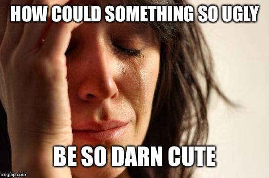 First World Problems Meme | HOW COULD SOMETHING SO UGLY BE SO DARN CUTE | image tagged in memes,first world problems | made w/ Imgflip meme maker