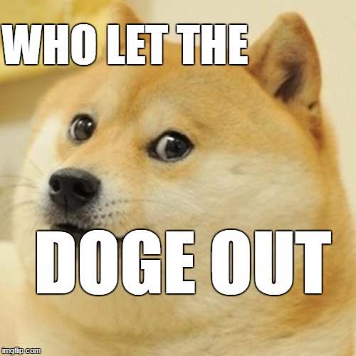 Doge | WHO LET THE; DOGE OUT | image tagged in memes,doge | made w/ Imgflip meme maker