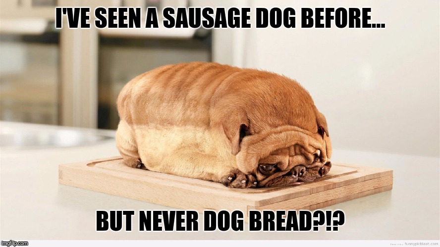 Is Dog Bread A Thing?!? | I'VE SEEN A SAUSAGE DOG BEFORE... BUT NEVER DOG BREAD?!? | image tagged in dog bread | made w/ Imgflip meme maker