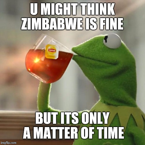 But That's None Of My Business Meme | U MIGHT THINK ZIMBABWE IS FINE; BUT ITS ONLY A MATTER OF TIME | image tagged in memes,but thats none of my business,kermit the frog | made w/ Imgflip meme maker