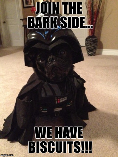 Join The Bark Side... | JOIN THE BARK SIDE... WE HAVE BISCUITS!!! | image tagged in join the bark side | made w/ Imgflip meme maker