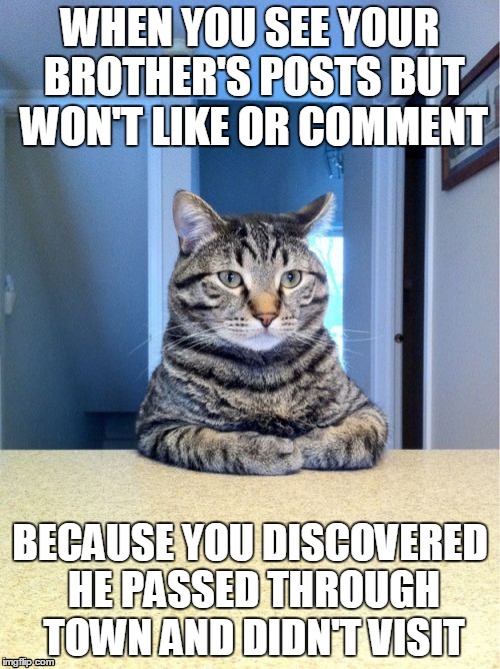 Take A Seat Cat | WHEN YOU SEE YOUR BROTHER'S POSTS BUT WON'T LIKE OR COMMENT; BECAUSE YOU DISCOVERED HE PASSED THROUGH TOWN AND DIDN'T VISIT | image tagged in memes,take a seat cat | made w/ Imgflip meme maker