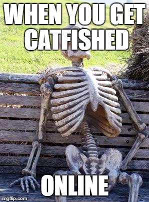 Waiting Skeleton | WHEN YOU GET CATFISHED; ONLINE | image tagged in memes,waiting skeleton | made w/ Imgflip meme maker