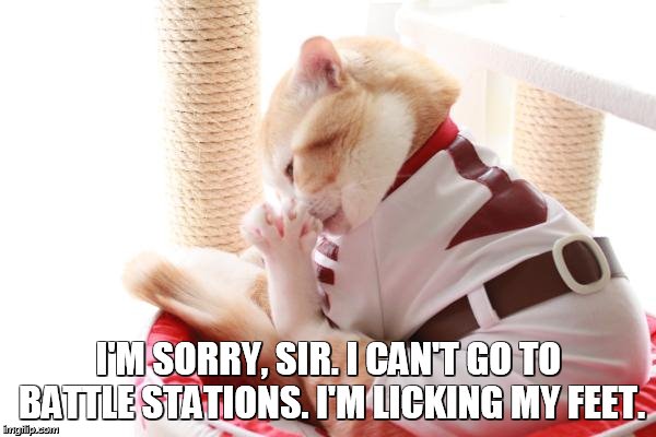 Yamato Cat | I'M SORRY, SIR. I CAN'T GO TO BATTLE STATIONS. I'M LICKING MY FEET. | image tagged in cat,space battleship yamato,star blazers | made w/ Imgflip meme maker
