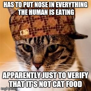 Still Not Food  | HAS TO PUT NOSE IN EVERYTHING THE HUMAN IS EATING; APPARENTLY JUST TO VERIFY THAT IT'S NOT CAT FOOD | image tagged in scumbag cat | made w/ Imgflip meme maker