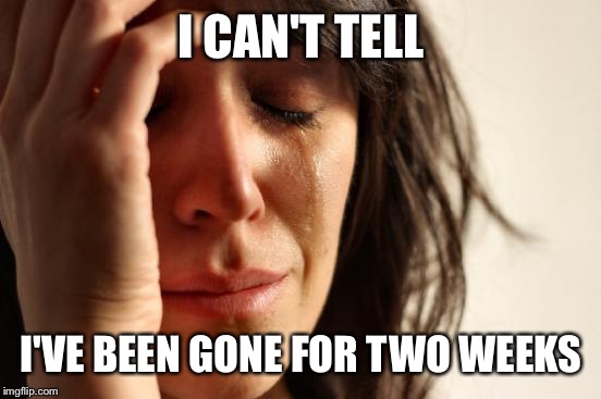 First World Problems Meme | I CAN'T TELL I'VE BEEN GONE FOR TWO WEEKS | image tagged in memes,first world problems | made w/ Imgflip meme maker