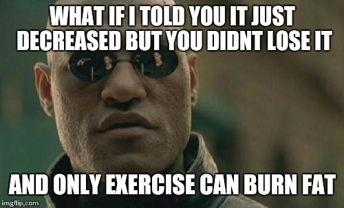 Matrix Morpheus Meme | WHAT IF I TOLD YOU IT JUST DECREASED BUT YOU DIDNT LOSE IT AND ONLY EXERCISE CAN BURN FAT | image tagged in memes,matrix morpheus | made w/ Imgflip meme maker