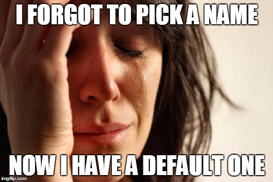 First World Problems | I FORGOT TO PICK A NAME; NOW I HAVE A DEFAULT ONE | image tagged in memes,first world problems | made w/ Imgflip meme maker