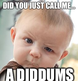 Skeptical Baby Meme | DID YOU JUST CALL ME... A DIDDUMS | image tagged in memes,skeptical baby | made w/ Imgflip meme maker