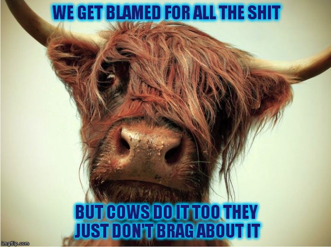WE GET BLAMED FOR ALL THE SHIT BUT COWS DO IT TOO THEY JUST DON'T BRAG ABOUT IT | made w/ Imgflip meme maker