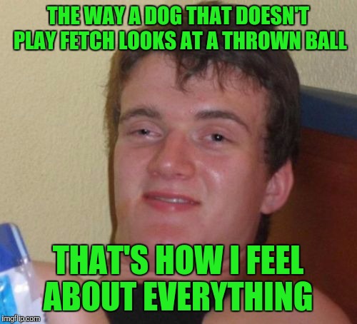 10 Guy Meme | THE WAY A DOG THAT DOESN'T PLAY FETCH LOOKS AT A THROWN BALL; THAT'S HOW I FEEL ABOUT EVERYTHING | image tagged in memes,10 guy | made w/ Imgflip meme maker