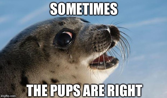 SOMETIMES THE PUPS ARE RIGHT | made w/ Imgflip meme maker