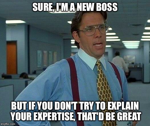 That Would Be Great Meme | SURE, I'M A NEW BOSS BUT IF YOU DON'T TRY TO EXPLAIN YOUR EXPERTISE, THAT'D BE GREAT | image tagged in memes,that would be great | made w/ Imgflip meme maker