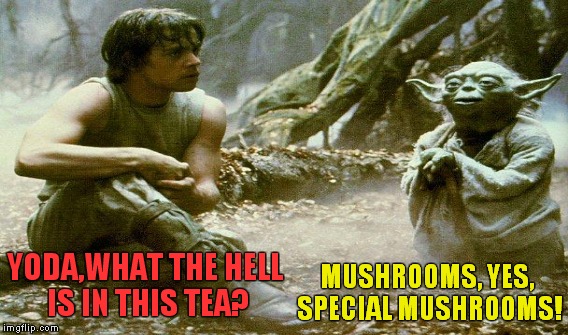 YODA,WHAT THE HELL IS IN THIS TEA? MUSHROOMS, YES, SPECIAL MUSHROOMS! | made w/ Imgflip meme maker