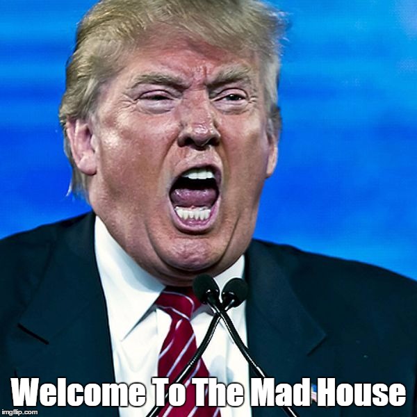 Welcome To The Mad House | made w/ Imgflip meme maker