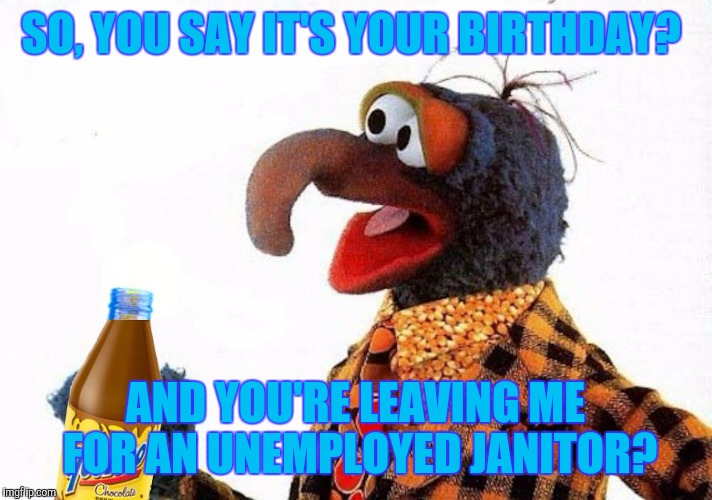 Clean Sweep | SO, YOU SAY IT'S YOUR BIRTHDAY? AND YOU'RE LEAVING ME FOR AN UNEMPLOYED JANITOR? | image tagged in gonzo,muppets,marriage,birthday,relationships,funny memes | made w/ Imgflip meme maker