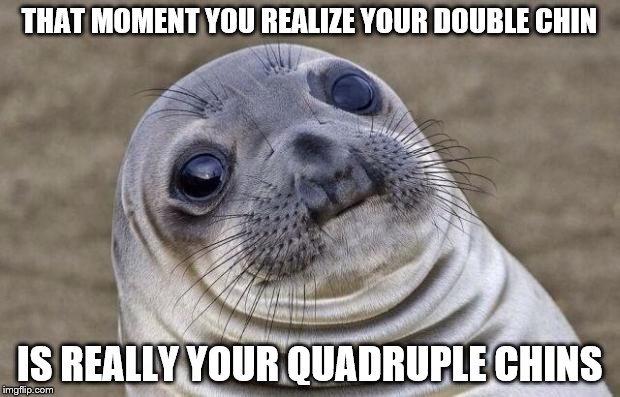 Double Chins | THAT MOMENT YOU REALIZE YOUR DOUBLE CHIN; IS REALLY YOUR QUADRUPLE CHINS | image tagged in memes,awkward moment sealion,double chin,seal,overeat,fat | made w/ Imgflip meme maker