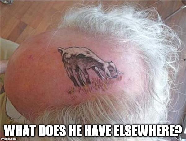 It could have turned out much, much worse... | WHAT DOES HE HAVE ELSEWHERE? | image tagged in memes,tattoos,animals,clever | made w/ Imgflip meme maker