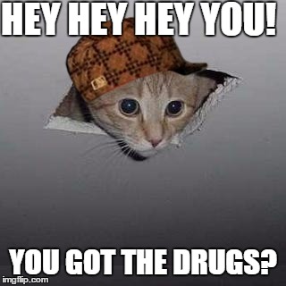 Ceiling Cat Meme | HEY HEY HEY YOU! YOU GOT THE DRUGS? | image tagged in memes,ceiling cat,scumbag | made w/ Imgflip meme maker