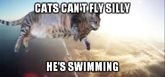 CATS CAN'T FLY SILLY HE'S SWIMMING | made w/ Imgflip meme maker