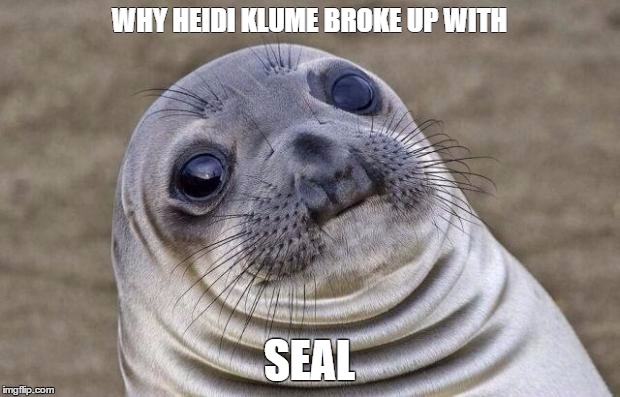 Awkward Moment Sealion Meme | WHY HEIDI KLUME BROKE UP WITH; SEAL | image tagged in memes,awkward moment sealion | made w/ Imgflip meme maker