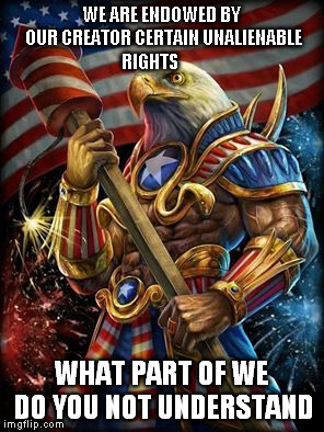 Muh Eagle | WE ARE ENDOWED BY OUR CREATOR CERTAIN UNALIENABLE RIGHTS; WHAT PART OF WE DO YOU NOT UNDERSTAND | image tagged in muh eagle | made w/ Imgflip meme maker