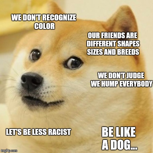 Doge | WE DON'T RECOGNIZE COLOR; OUR FRIENDS ARE DIFFERENT SHAPES SIZES AND BREEDS; WE DON'T JUDGE WE HUMP EVERYBODY; LET'S BE LESS RACIST; BE LIKE A DOG... | image tagged in memes,doge | made w/ Imgflip meme maker