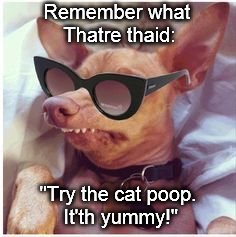 Phteven phunglasses  | Remember what Thatre thaid:; "Try the cat poop. It'th yummy!" | image tagged in phteven phunglasses | made w/ Imgflip meme maker